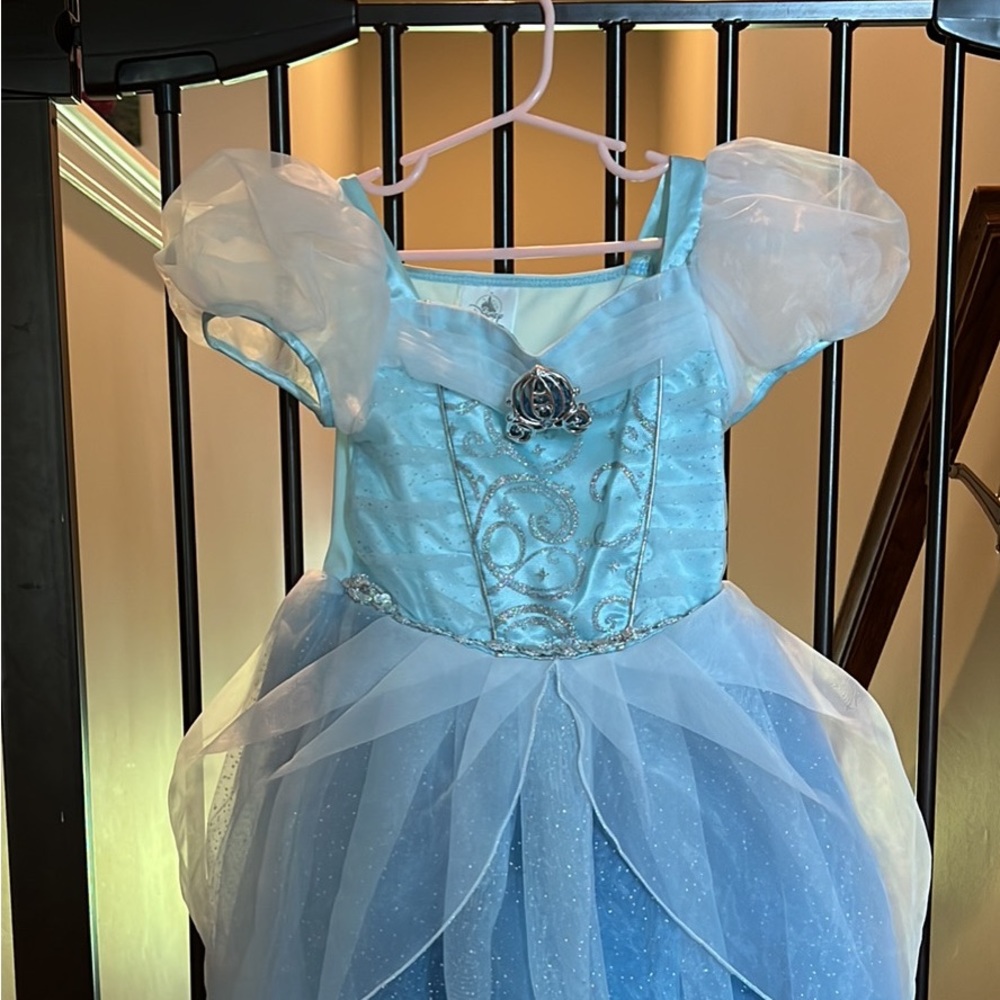 Cinderella Dress